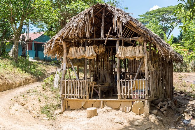 Puerto Plata: Cultural Escape Tour in Puerto Plata - Exploring Bread Factory