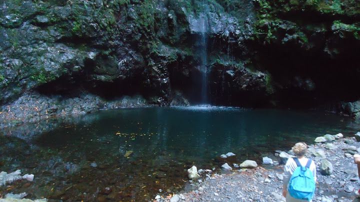 Queimadas Natural Park 5-Hour Guided Hike - Customer Feedback