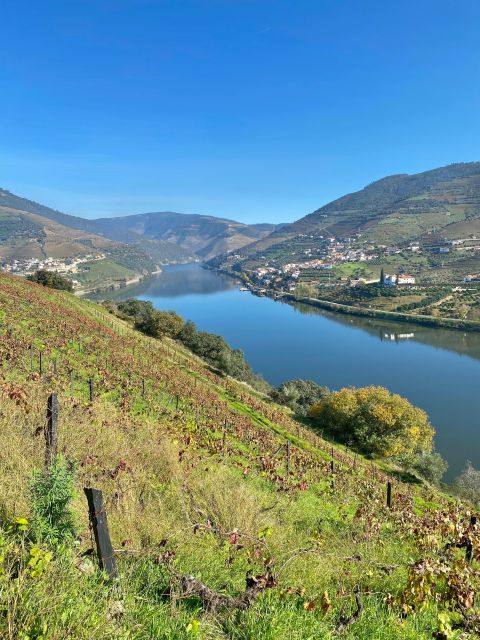 Quinta Dos Murças: Train, Walking, Lunch and Wine Tasting - Train Ride Experience