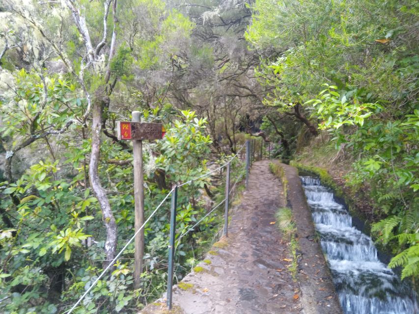 Rabaçal: Wind Lagoon, Risk Levada and 25 Fountains Levada - 25 Fontes Waterfall