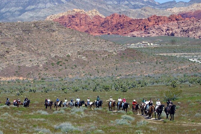 Red Rock Canyon Sunset Horseback Ride and Barbeque Dinner - Customer Feedback and Reviews