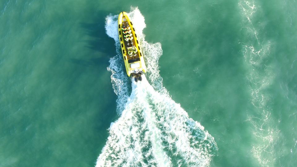 Reykjavik: Whale Watching by RIB Speedboat - Meeting Point