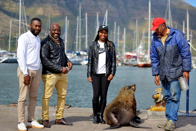 Robben Island Tickets, Penguins & Cape of Good Hope Private Tour - Reviews