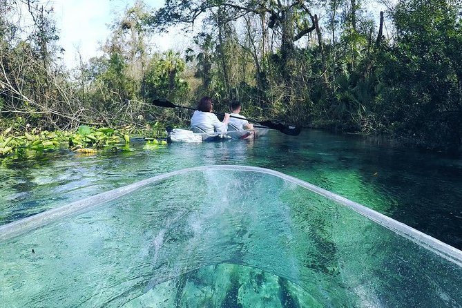 Rock Springs 2-Hour Glass Bottom Guided Kayak Eco Tour - Memorable Tour Guides