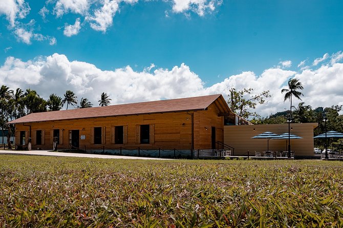 Ron Del Barrilito Heritage Skip-The-Line Tour - The Aging Process Explained