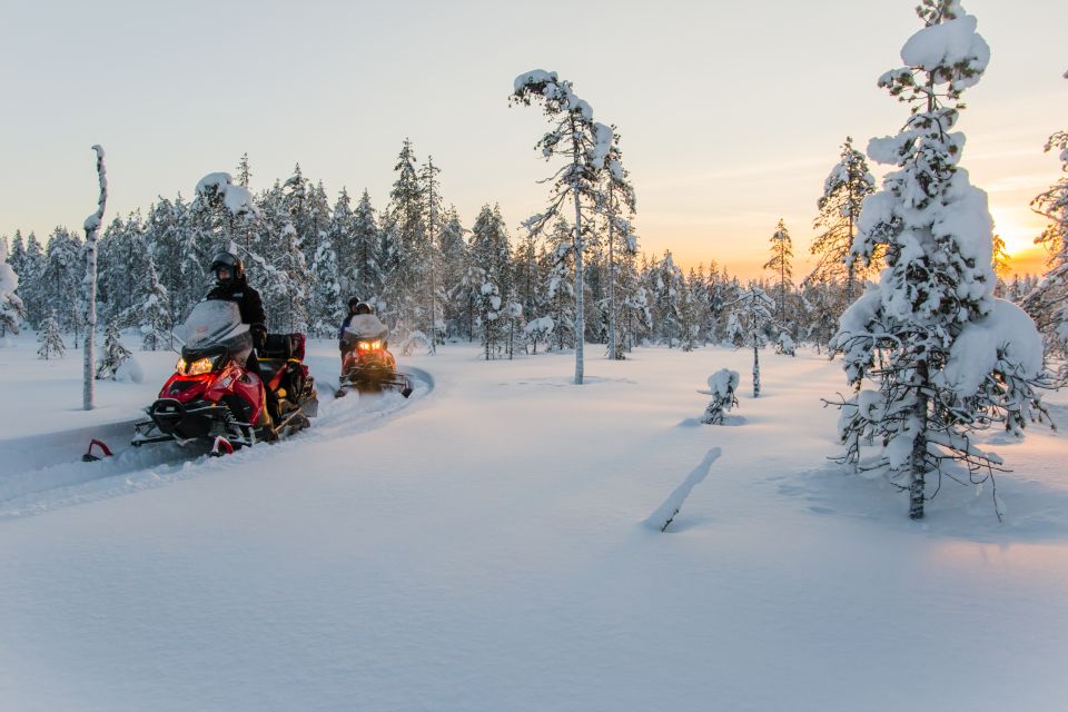 Rovaniemi: 2-Hour Snowmobiling Experience - Pricing and Booking Details