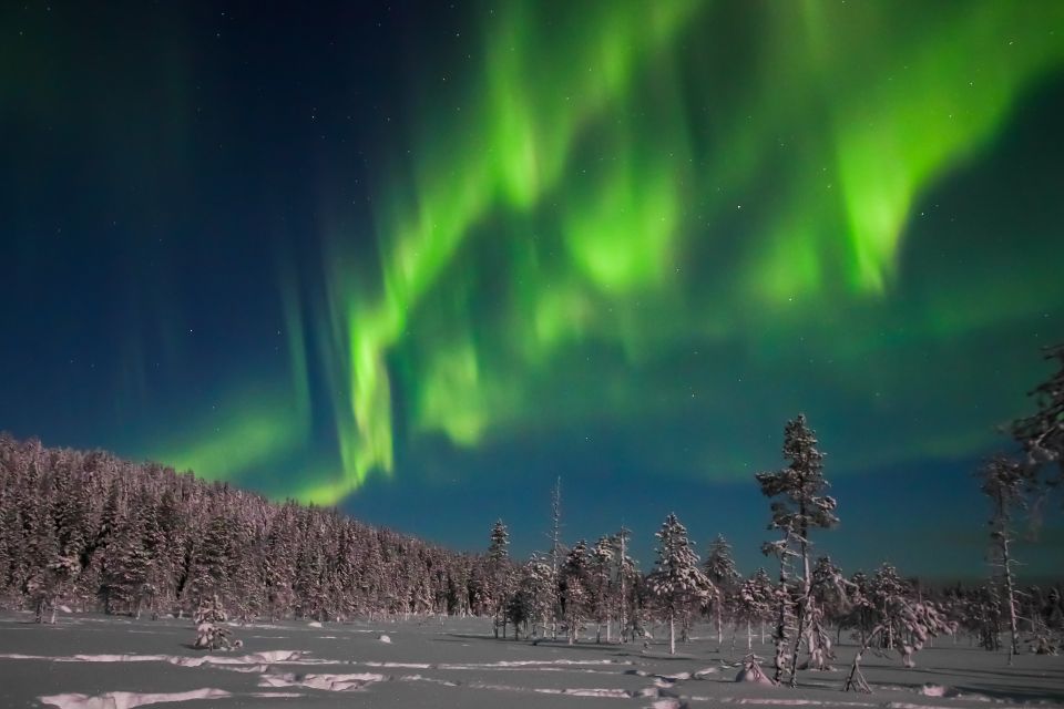 Rovaniemi: Aurora Borealis and Picnic - Frequently Asked Questions