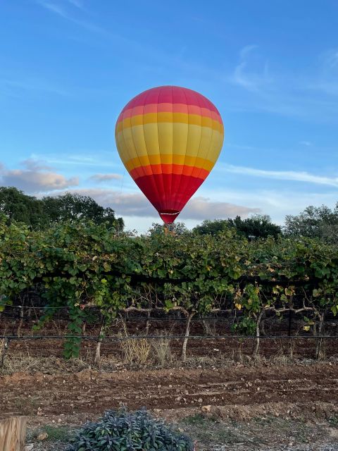 San Antonio: Fredericksburg Wineries Day Trip With Tastings - Fredericksburg Exploration