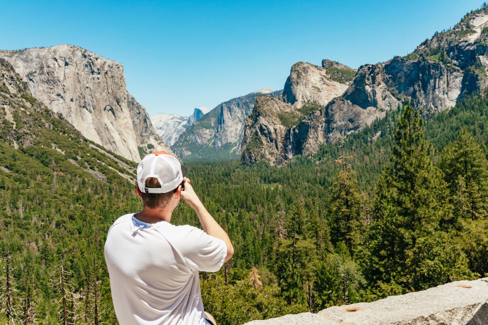 San Francisco: Yosemite National Park & Giant Sequoias Hike - Tuolumne Grove of Giant Sequoias