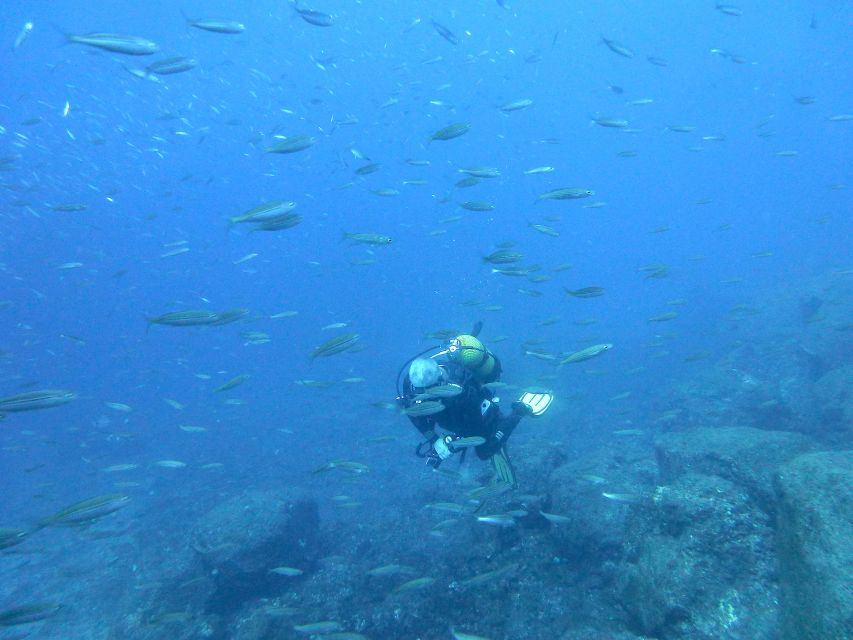 San Miguel De Abona: 2–Dive Package - Certification and Insurance