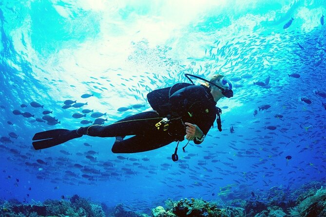 Scuba Diving Discover Boat Trip 2 Stops Intro Diving, Transfer, Lunch - Hurghada - Cancellation Policy