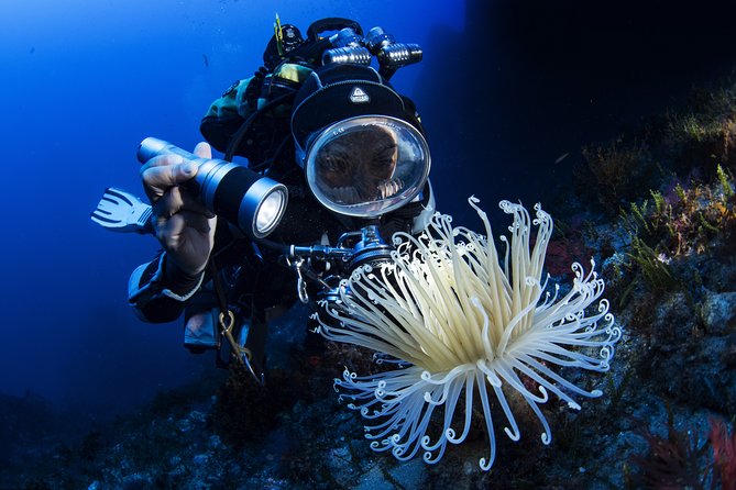 Scuba Diving in Calabria, Italy - Gear and Equipment Provided