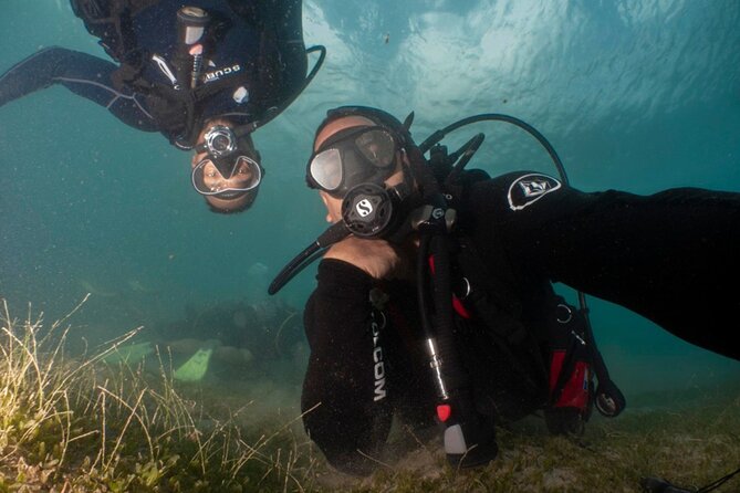 Scuba Tour for Certified Divers in San Juan - Accessibility and Health Considerations