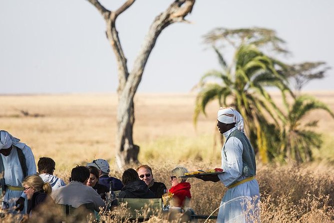 Serengeti Balloon Safari and Authentic Bush Breakfast - Logistics and Booking Details