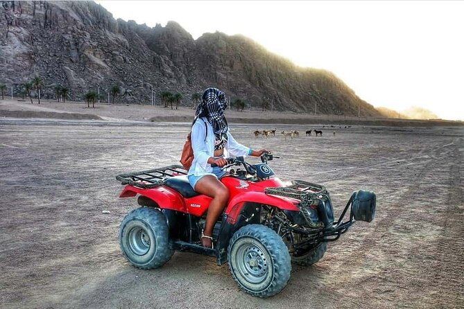 Sharm El Sheikh Super Safari 5*1 ATV Quad, Stargazing,Camel Ride,Dinner, Shows - Captivating Live Performances