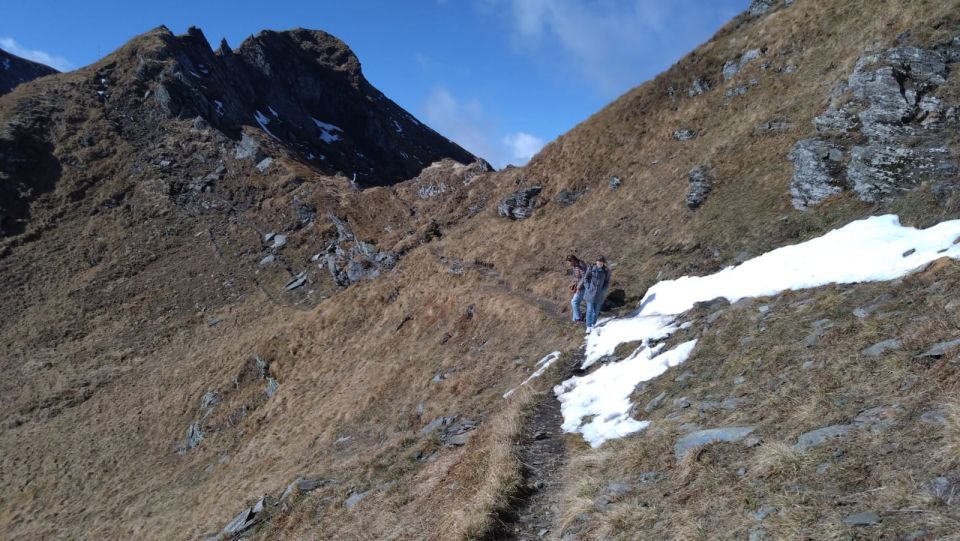 Sibiu: 1-Day Hiking Tour in the Carpathian Mountains - Inclusions