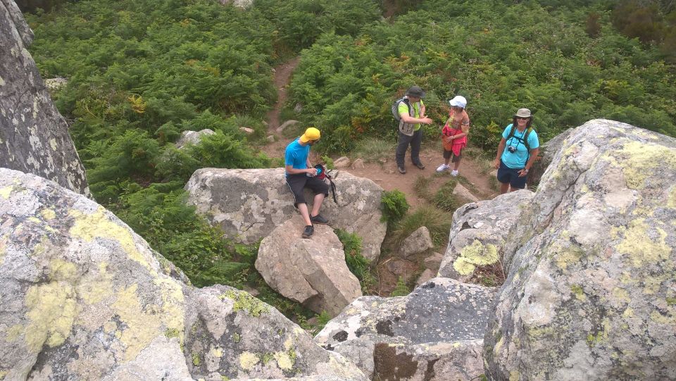 Sintra: Walking Tour With Palace, Castle, and Old Town Visit - Included in the Tour