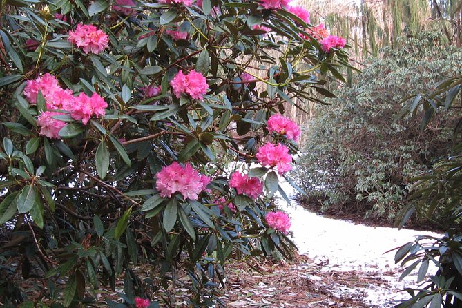 Skip-the-Line: Botanic Garden Entry Ticket - Highlights of the Glasshouse