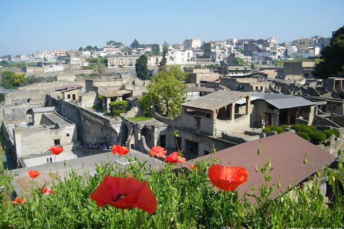 Skip the Line Herculaneum Ruins Ticket - Accessibility and Group Size