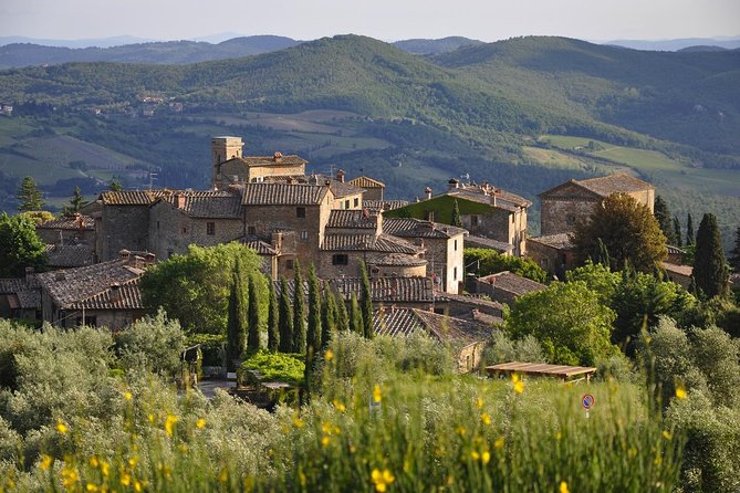 SMALL GROUP Chianti 2 Wineries & Lunch (Max 8 People) - Tour Inclusions