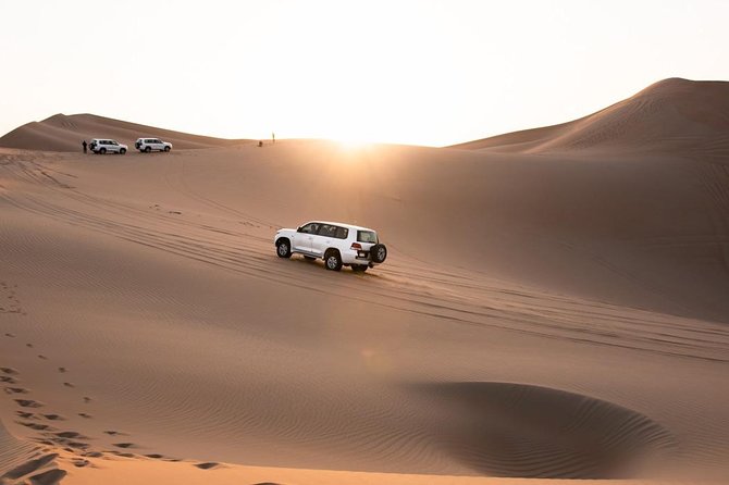 Small Group Guided Red Dune Safari in Quad Bikes With BBQ Dinner - Camel Ride and Falcon Experience