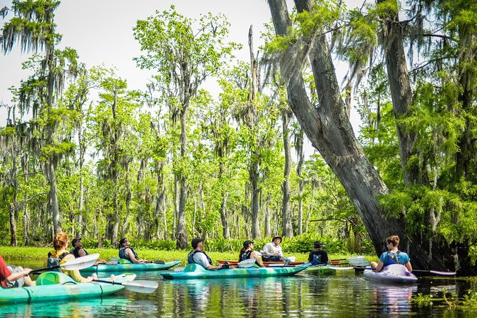 Small-Group Manchac Swamp Kayak Tour With Local Guide - Booking and Confirmation