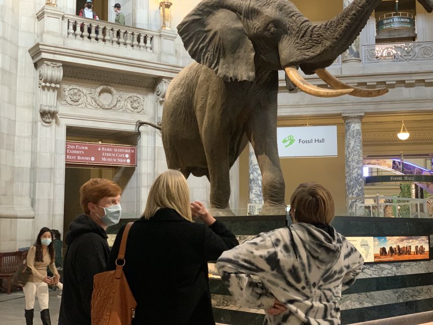 Smithsonian National Museum of Natural History Guided Tour - Customer Reviews