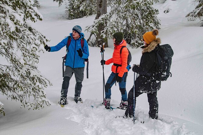 Snowshoeing Adventure With Ice-Fishing, Fire and Survival - Campfire Cooking of Catch