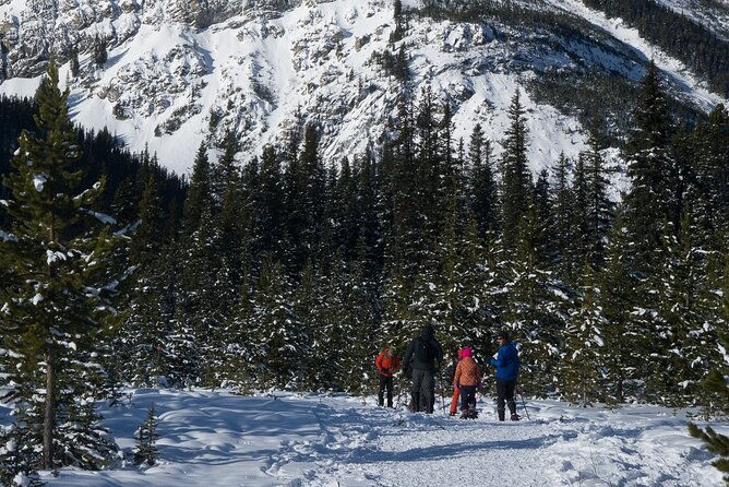 Snowshoeing in Kananaskis - Meeting the Requirements