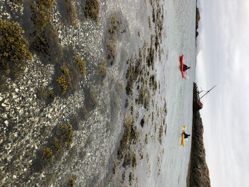 Stykkishólmur: 2-Hour Sea Kayak Tour - Experience Stykkishólmur Culture