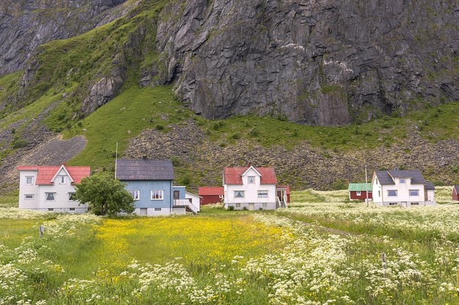 Summer Full-Day Guided Tour of the Lofoten Islands - Group Size and Accessibility