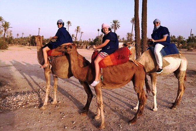 Sunset Camel Ride Tour in Marrakech Palm Grove - Berber House Visit