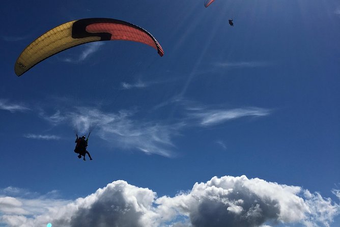 Tandem Paragliding Over the Rugged Lava Fields at Blue Mountains - Confirmation and Accessibility Details