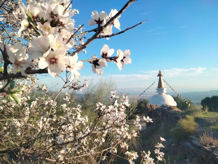 The Axarquia White Villages & Buddhist Stupa - SemiPrivate - Comares Exploration