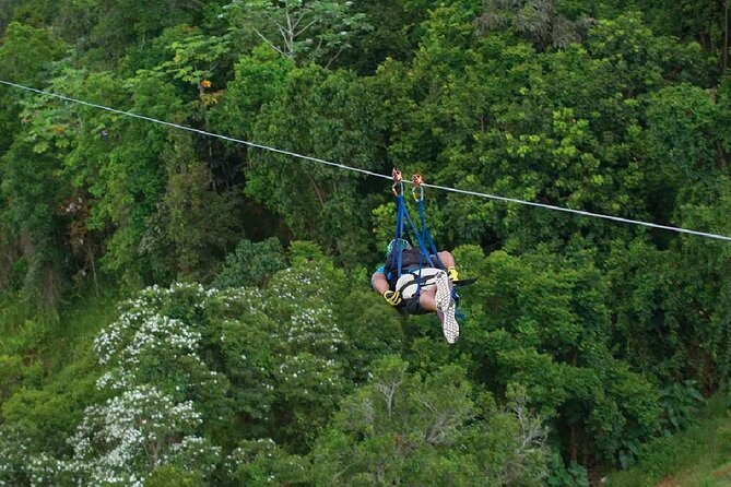 The Beast Zipline at Toroverde Adventure Park in Puerto Rico - Enjoying the Aerial Views