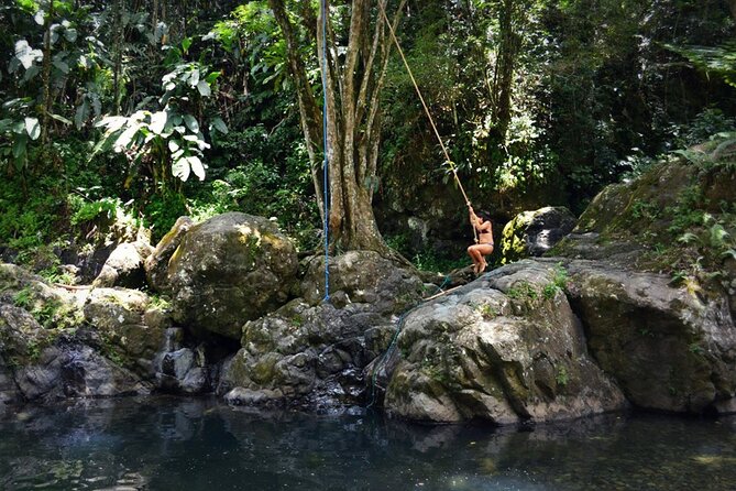 The Original El Yunque Rainforest Waterslide Tour - Reasons to Book