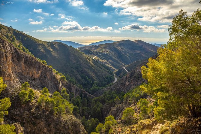 The Saltillo Gorge and White Village Hiking Tour From Malaga - Cancellation Policy