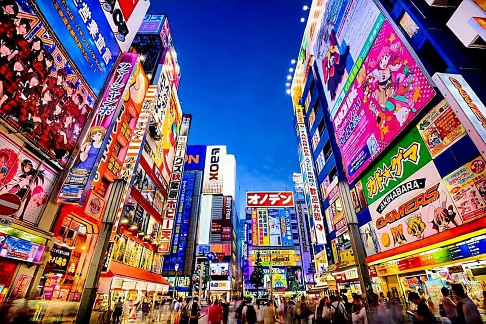 Tokyo Full Day Private Tour With English Speaking Driver - Customization and Flexibility