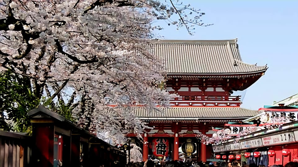 Tokyo: Full-Day Private Tour With English-Speaking Guide - Customer Reviews and Ratings