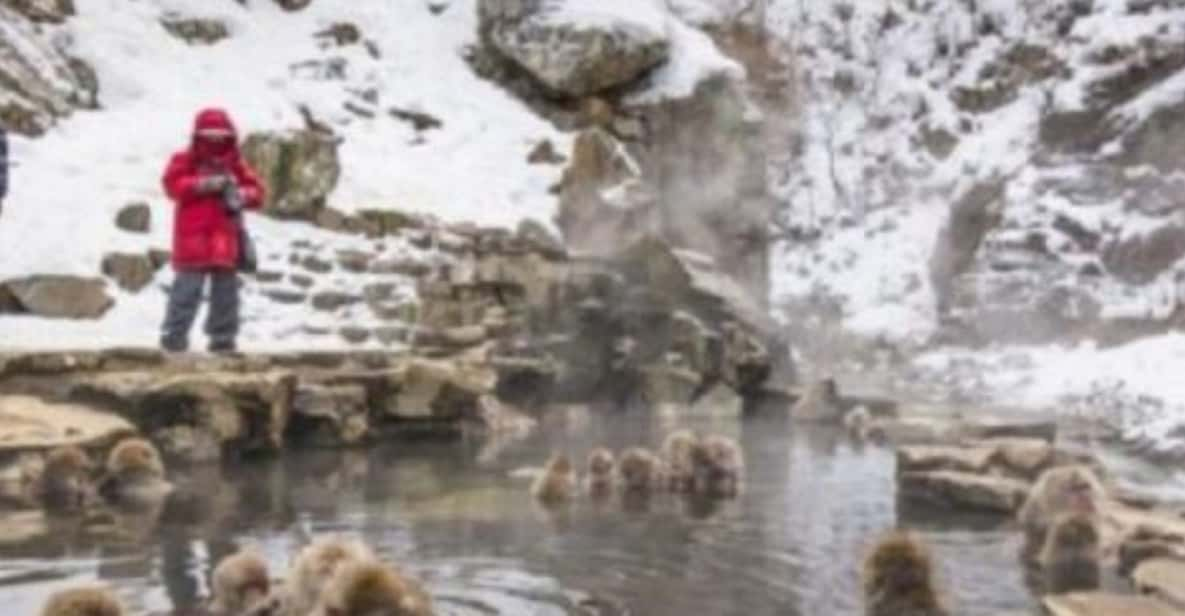 Tokyo: Luxury Snow Monkey Park Private Tour In Land Cruiser - Frequently Asked Questions