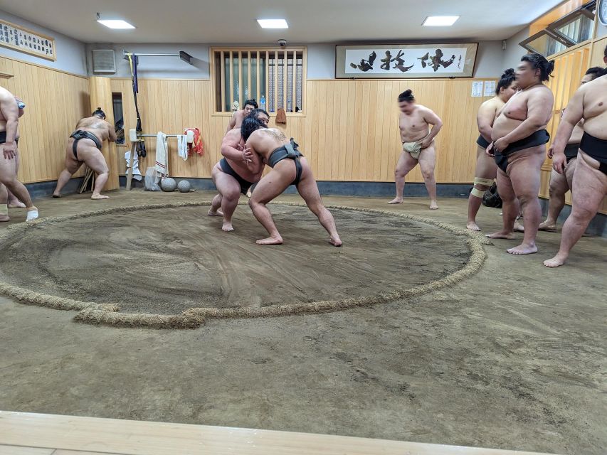 Tokyo: Morning Sumo Practice Viewing - Participant Insights