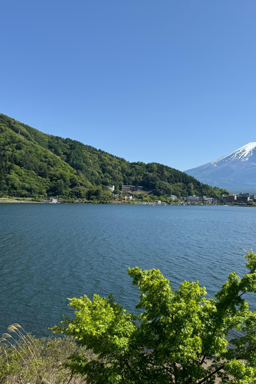 Tokyo: Mt. Fuji, Oshino Hakkai, Kawaguchiko Lake Day Trip - Inclusions and Exclusions