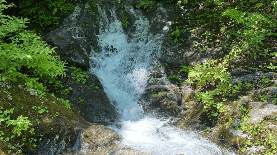 Tokyo: Nikko World Heritage Private Tour By English Guide - Frequently Asked Questions