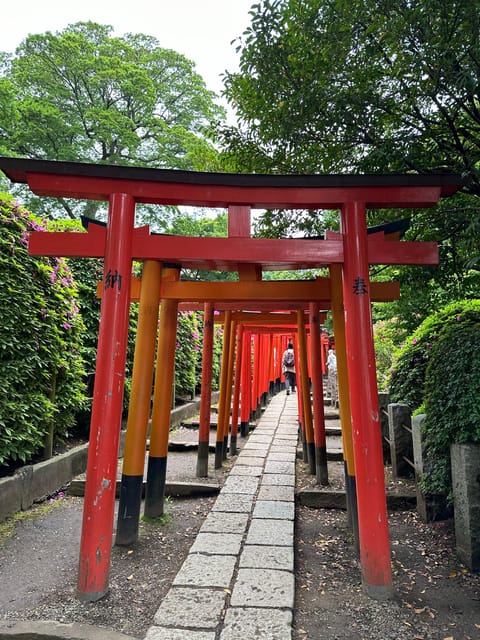 Tokyo Old Traditional Town~Yanaka , Nezu & Ueno Sakuragi - Special Bonuses