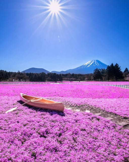 Tokyo:Lake Kawaguchi、Oshino Hakkai、View Mount Fuji Day Trip - Cultural Experience