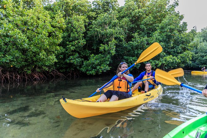 Trio Tour: El Yunque, Luquillo Beach, and Bio Bay Night Kayaking - Additional Information