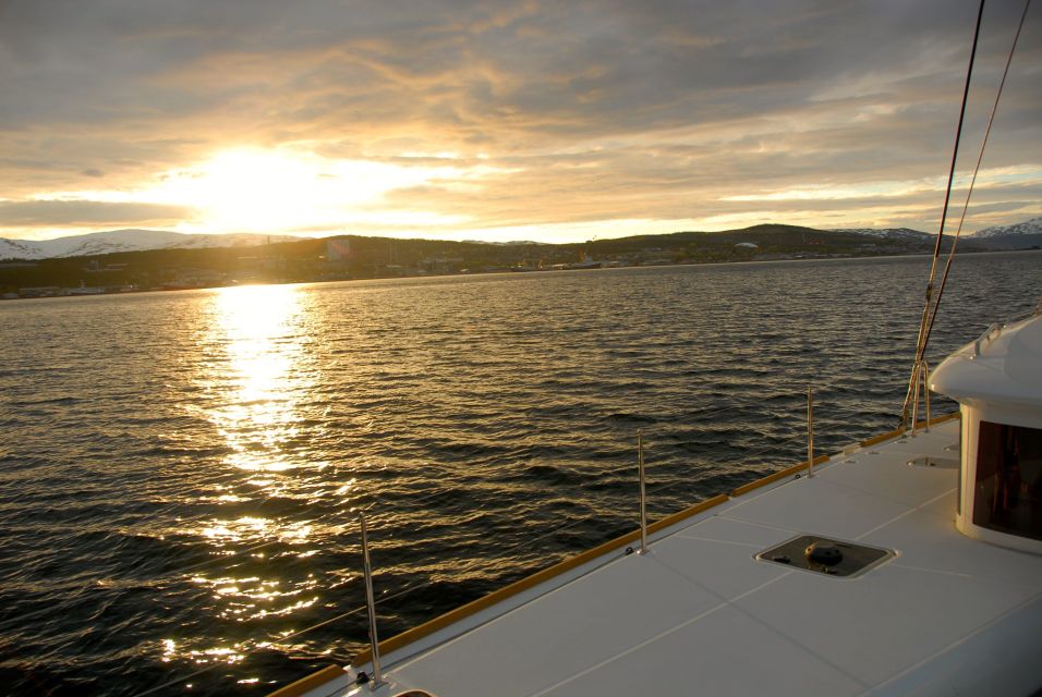 Tromsø: Midnight Sun Cruise in a Luxury Catamaran - Traditional Norwegian Fish Soup