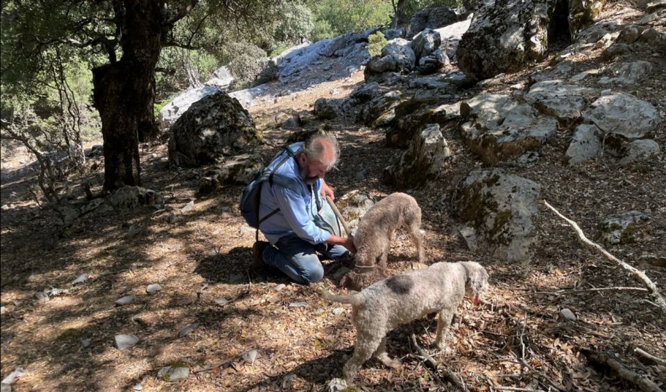 Truffle Hunting, Culinary & Wine Celebration From Elounda - Guided Experience