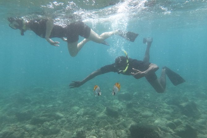 Ultimate Shore Snorkeling Adventure on Kauai - Tour Experience