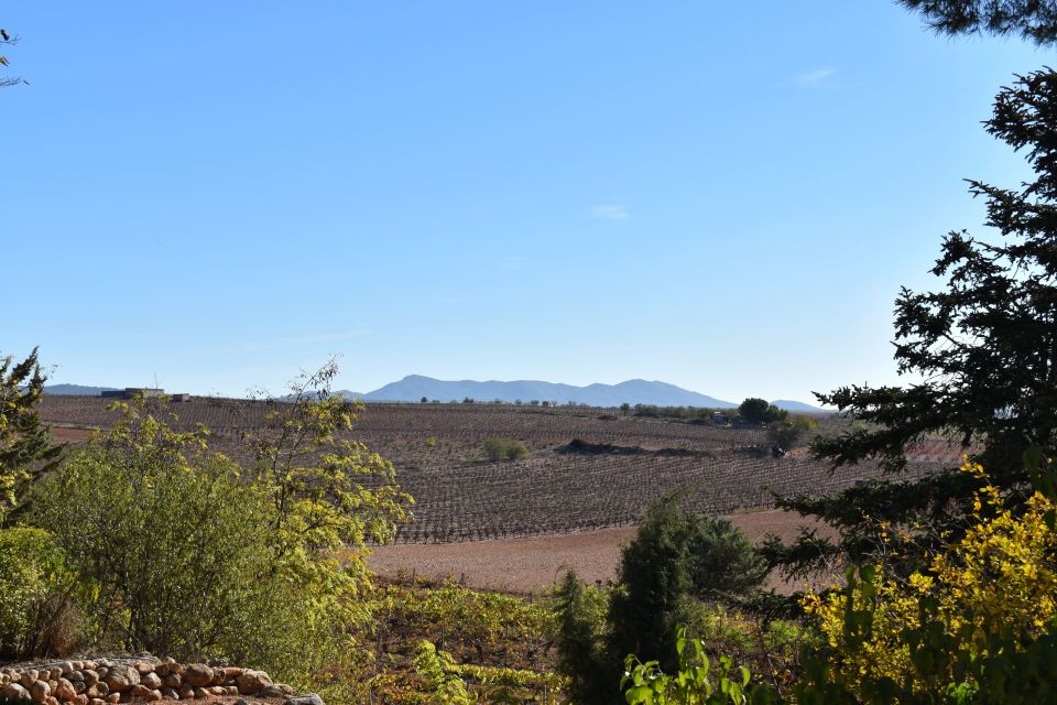 Valencia: Utiel-Requena Cave & Winery Day Trip With Tasting - Meeting Points